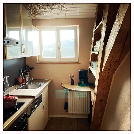 公寓 Oberstaufenblick.allgaeu *